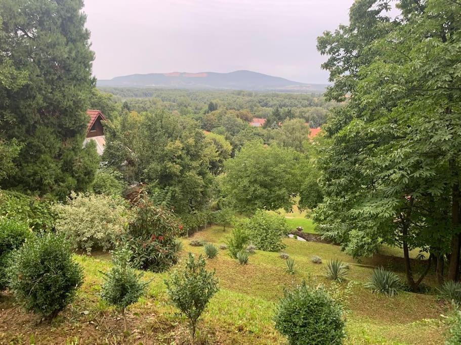 Апартаменти Manor House On The Danube Bend