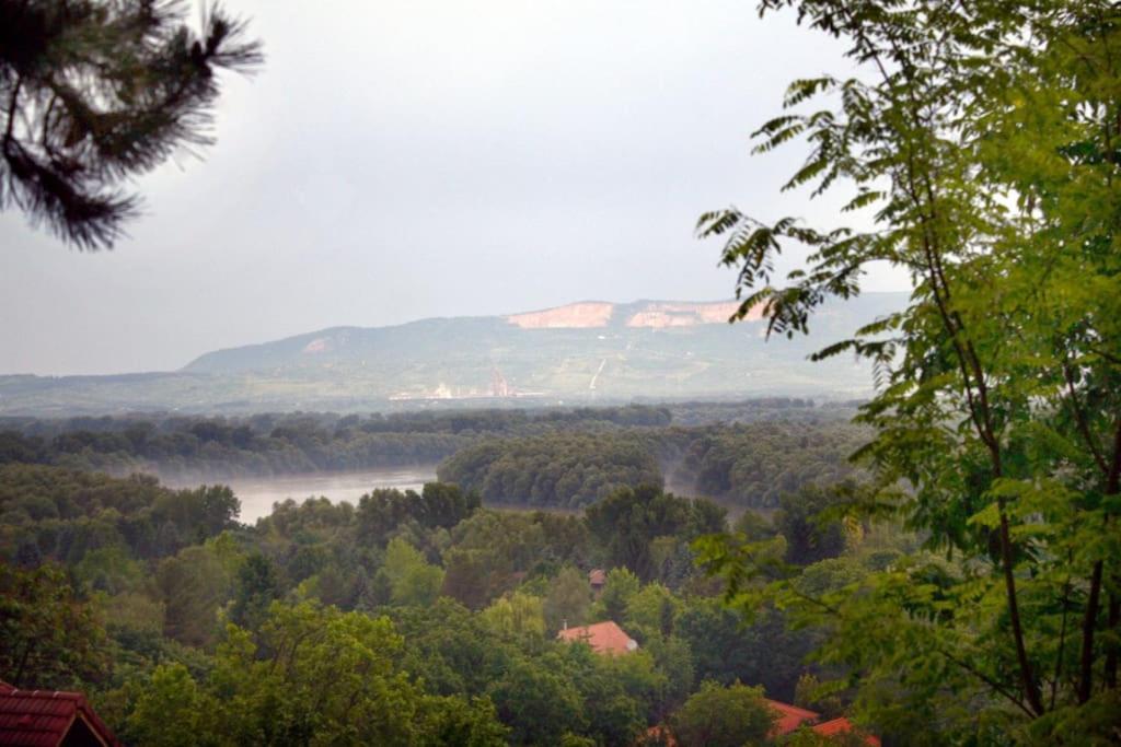 Manor House On The Danube Bend Apartment